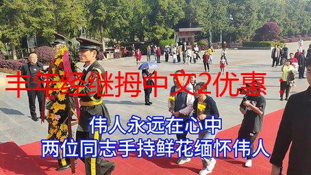 丰年经继拇中文2优惠：深度解析优惠活动及游戏内容