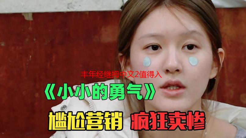 丰年经继拇中文2值得入手吗？全面评测与购买指南