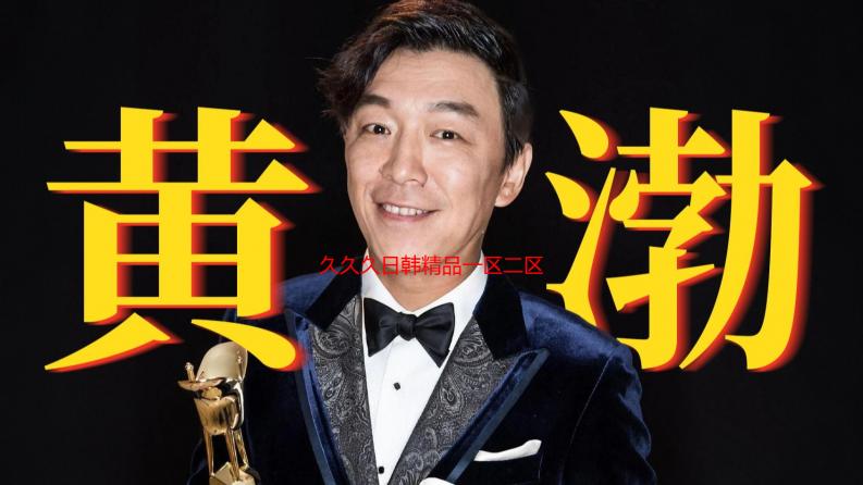 久久久日韩精品一区二区在线观看解析：高清资源与流畅体验详解