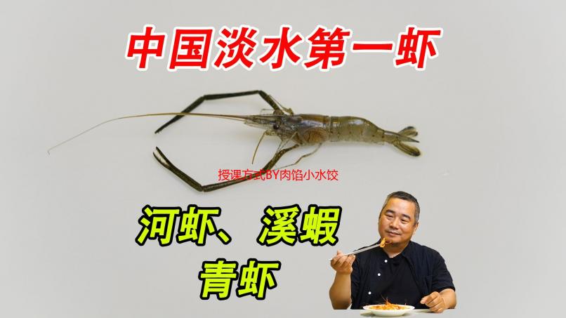 授课方式BY肉馅小水饺林清：解析独特教学魅力与肉馅小水饺背后的教育哲学