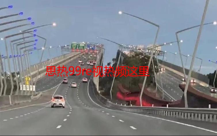 思热99re视热频这里只精品：高清资源解析及观看指南