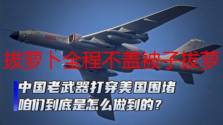 拔萝卜全程不盖被子拔萝卜：深度解析游戏玩法及技巧详解