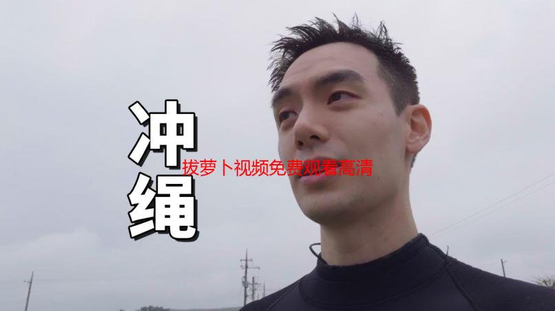 拔萝卜视频免费观看高清下载：解析资源获取途径及观看方法