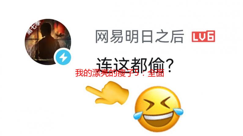 我的漂亮的瘦子5：全面解析产品特性与使用技巧