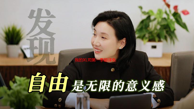 我的XL司第一季翻译免费观看全攻略：高清资源、字幕选择、平台推荐