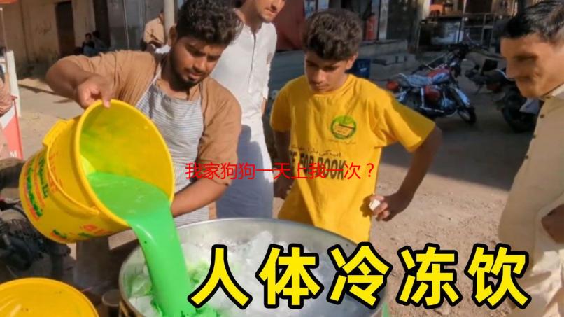 我家狗狗一天上我一次？原因解析与应对策略