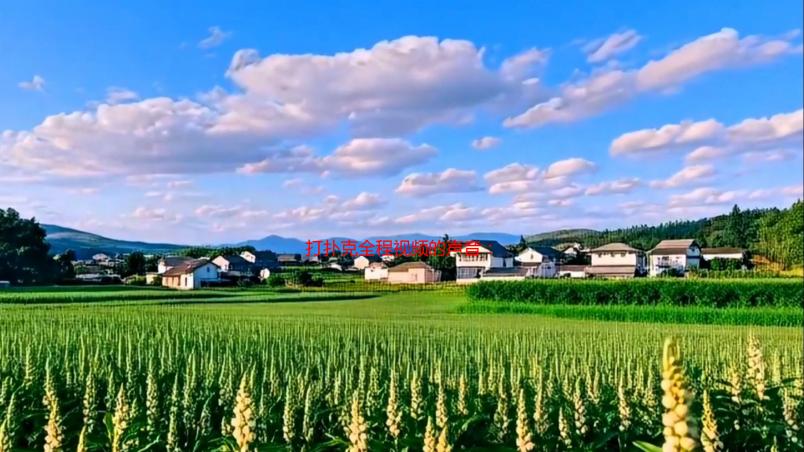 打扑克全程视频的声音：听觉盛宴还是隐私泄露？扑克游戏声音解析