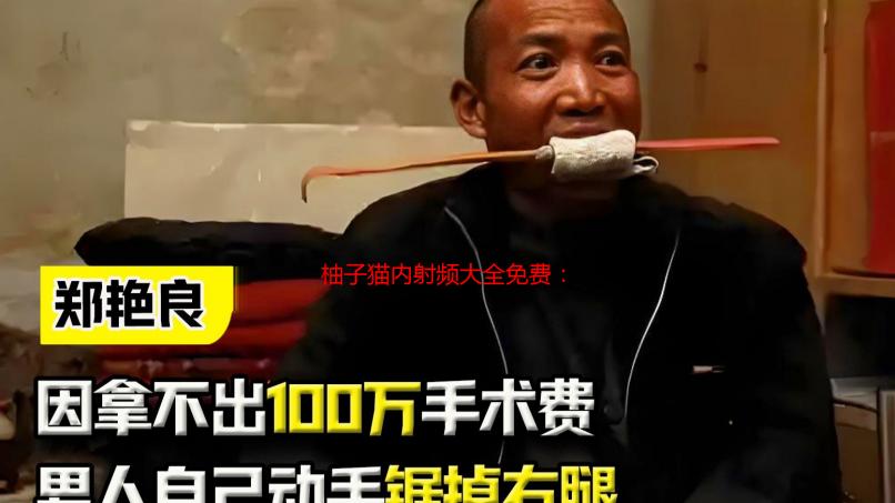 柚子猫内射频大全免费：高清无码资源合集解析及下载方法