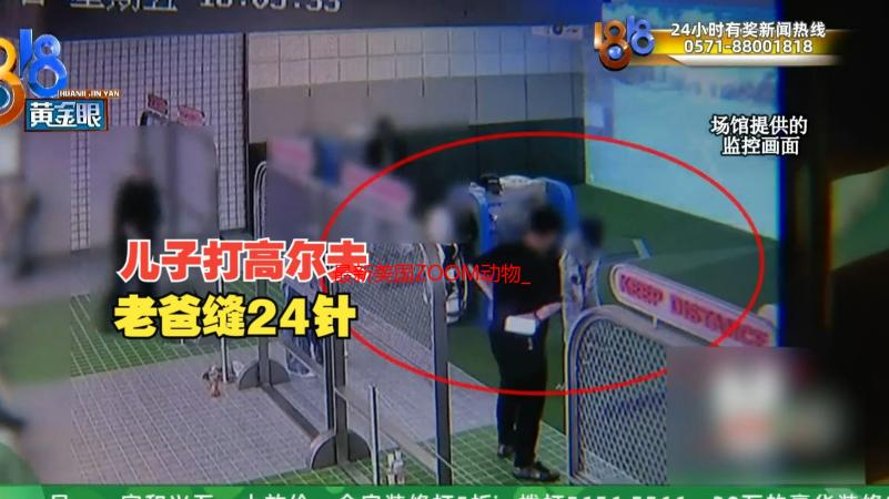 最新美国ZOOM动物_欢迎你：高清视频资源及互动体验详解
