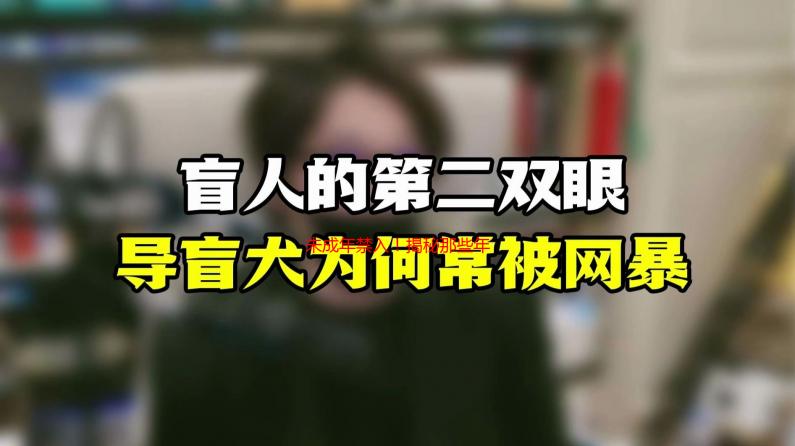 未成年禁入！揭秘那些年我们偷偷传唱的“已满十八岁请带好纸”神曲