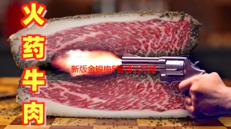 新版金银梅5普通话完整版剧情解析及配音介绍