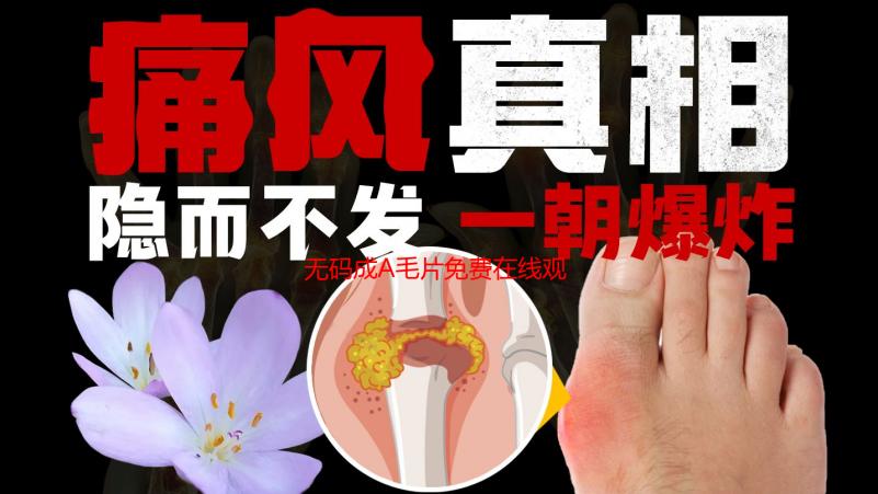 无码成A毛片免费在线观看解析：高清资源下载指南