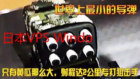 日本VPS Windows系统中国访问速度优化详解