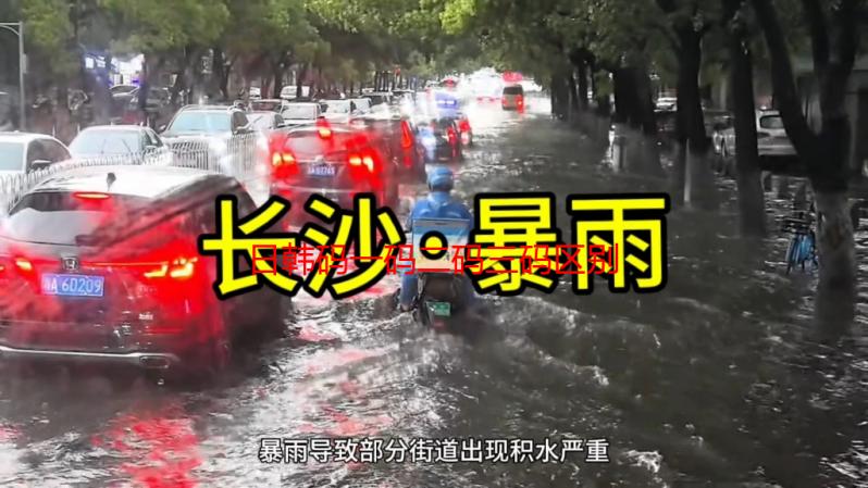 日韩码一码二码三码区别详解：深入解析其编码差异及应用场景