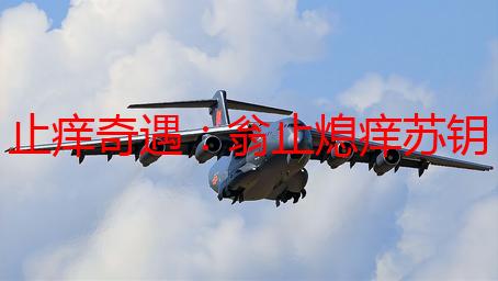 止痒奇遇：翁止熄痒苏钥第九章的秘密，我的肌肤重生之旅
