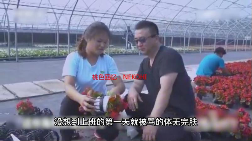 桃色回忆：NEKOHIR桃子移植像素，我的游戏开发之旅