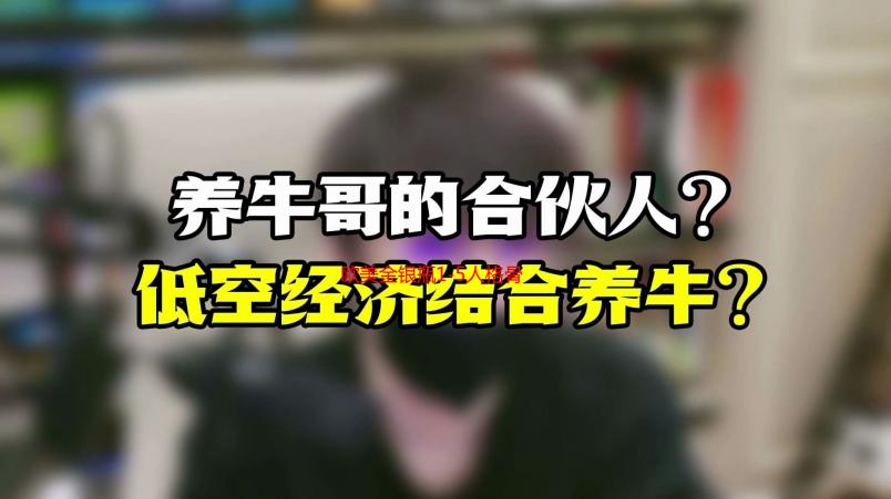 欧美金银瓶1-5人格骨头茶深度解析：功效、成分及适用人群