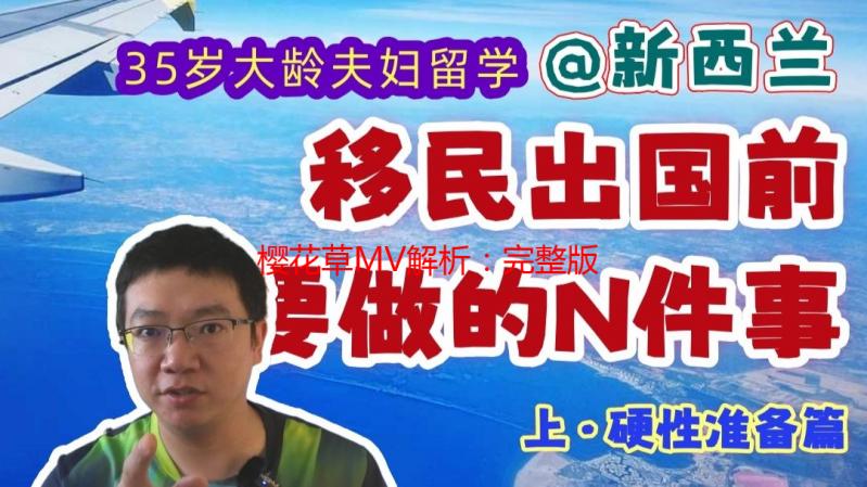 樱花草MV解析：完整版高清MV赏析及歌曲解读