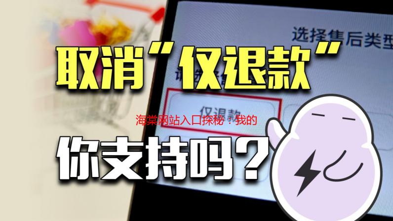 海棠网站入口探秘：我的深夜小说之旅
