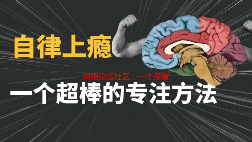 海角论坛社区：一个深度交流与分享的在线平台