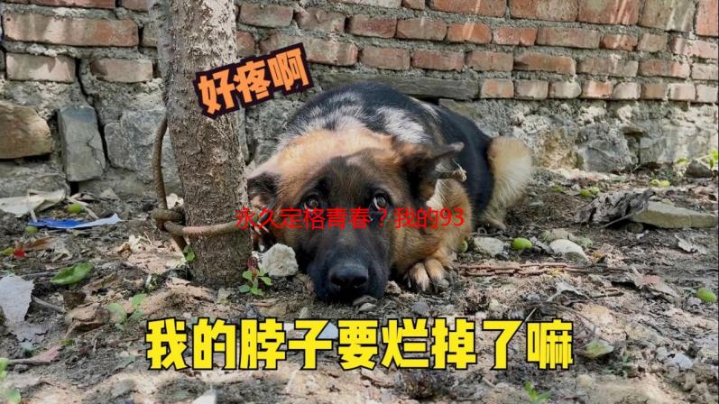 永久定格青春？我的939W78W78W乳液逆龄奇迹