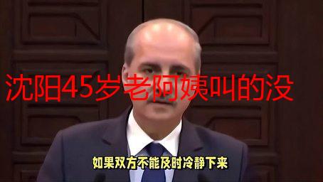 沈阳45岁老阿姨叫的没谁了：深度解析其背后的原因及社会现象
