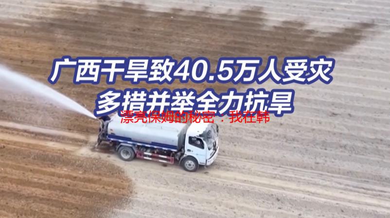 漂亮保姆的秘密：我在韩国电影中发现的温情与感动
