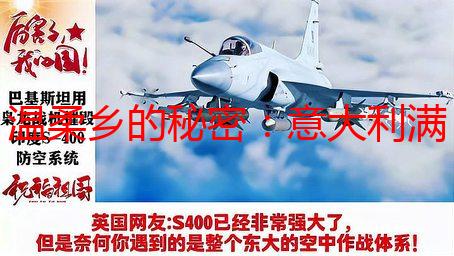 温柔乡的秘密：意大利满天星，点亮我的浪漫回忆