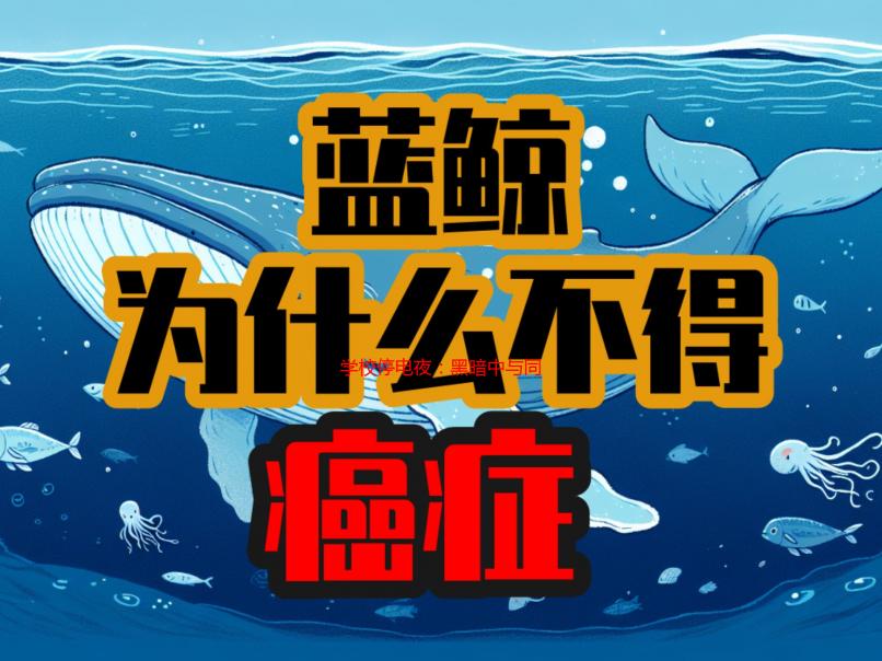 学校停电夜：黑暗中与同桌的秘密悸动