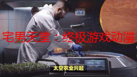 宅男天堂：终极游戏动漫周边购物指南