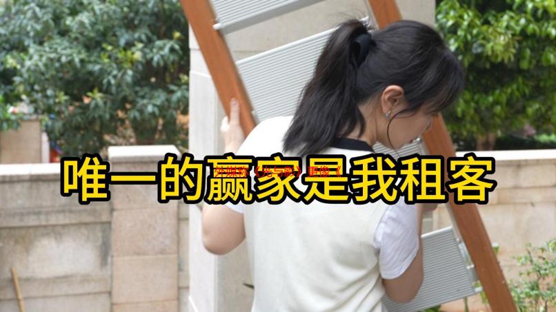 外媒称《光与影》更像《空洞骑士》：如同硬币正反面!