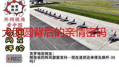 大团圆背后的亲情密码：我的家族故事与人生感悟