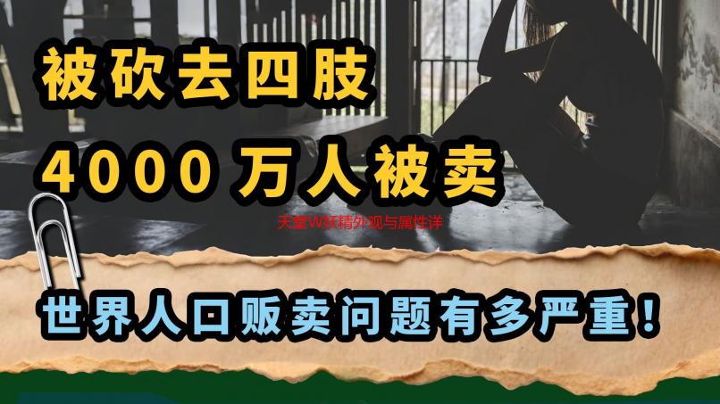 天堂W妖精外观与属性详解：妖精是否影响角色能力？