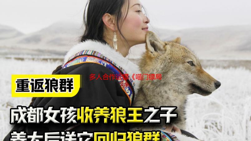 多人合作运镖《喵门镖局》迎来全新职业更新，敌人更聪明了！现于Steam开启五折特惠
