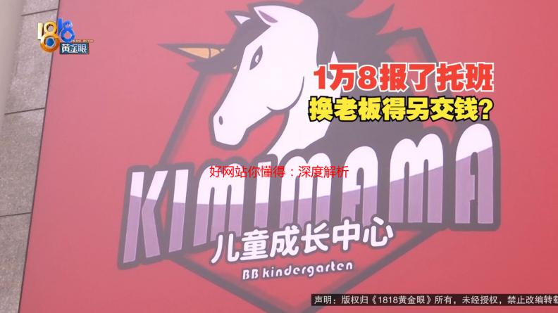 好网站你懂得：深度解析值得推荐的优质网站类型及特点