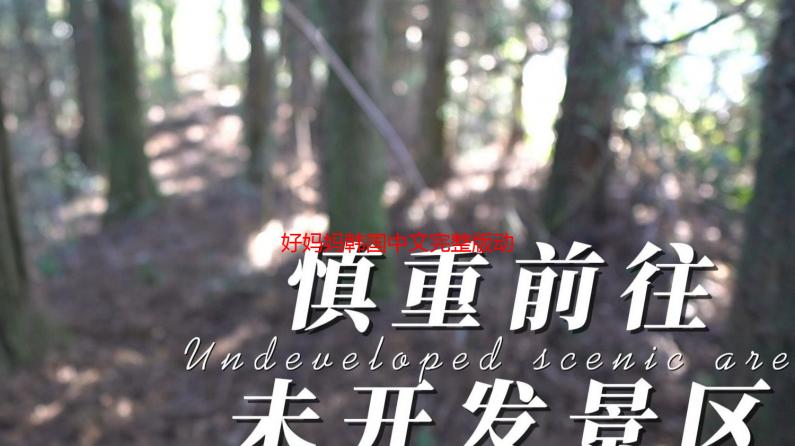 好妈妈韩国中文完整版动漫：剧情解析、观看指南与教育意义