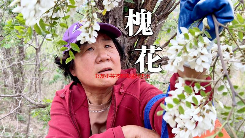 女友小芸被教练猛烈进出视频事件深度解析：真相、影响与反思