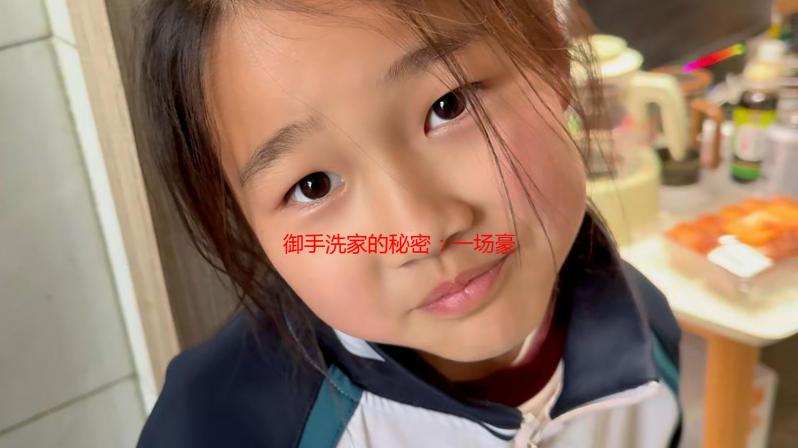 御手洗家的秘密：一场豪宅背后的复仇之火