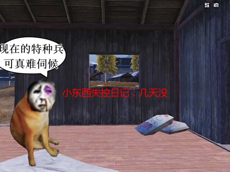 小东西失控日记：几天没管，家里简直成了“案发现场”！