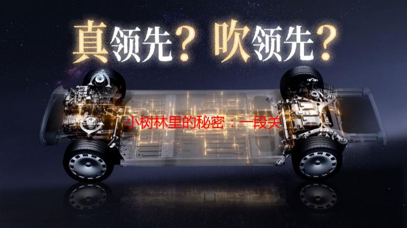 小树林里的秘密：一段关于成长与发现的青涩回忆