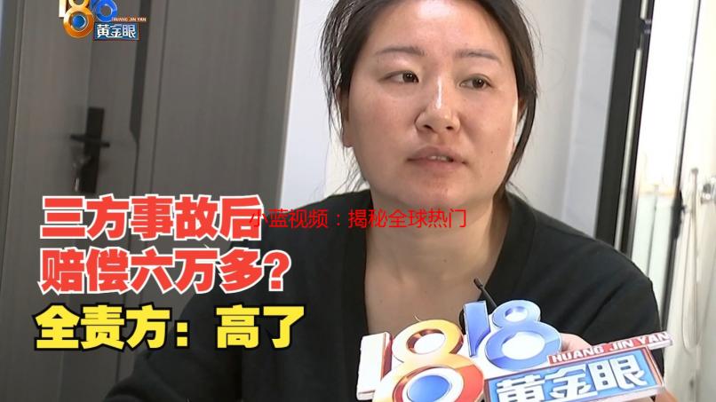 小蓝视频：揭秘全球热门平台的风险与机遇