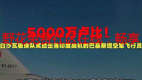 野花免费社区在线：畅享高清视频，尽在野花免费社区