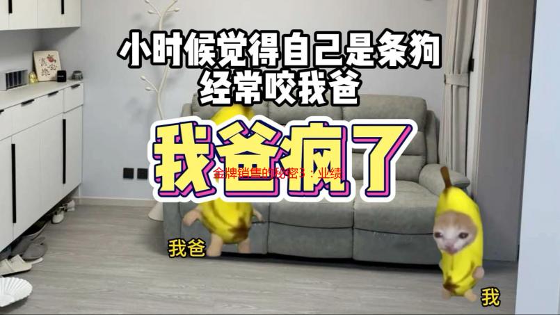 金牌销售的秘密3：业绩暴涨的终极心法，我用这三招轻松翻倍！