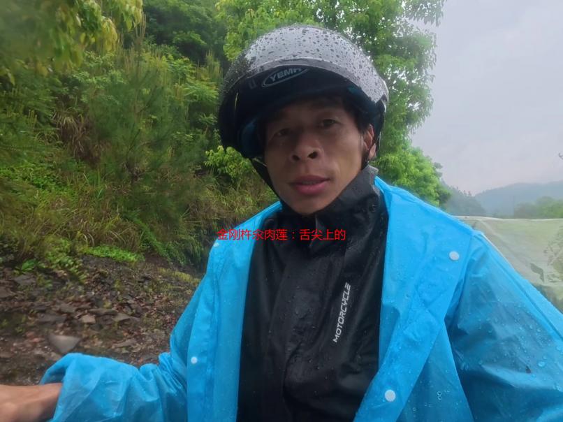 金刚杵汆肉莲：舌尖上的修行，一道菜背后的传奇故事