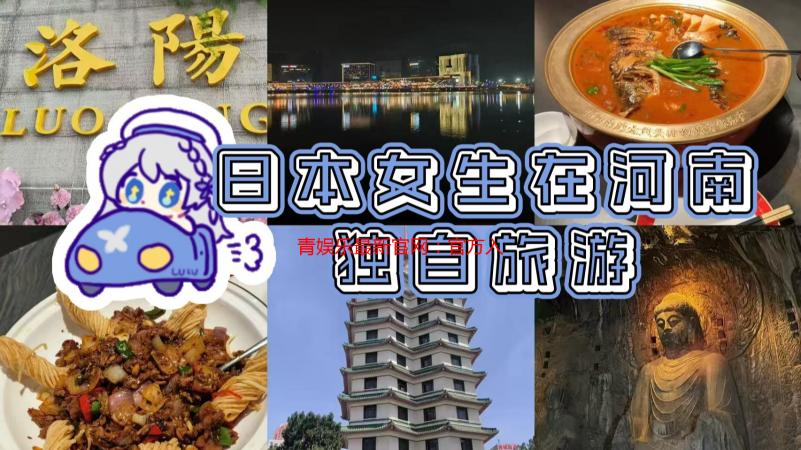 青娱乐最新官网：官方入口地址解析及功能详解