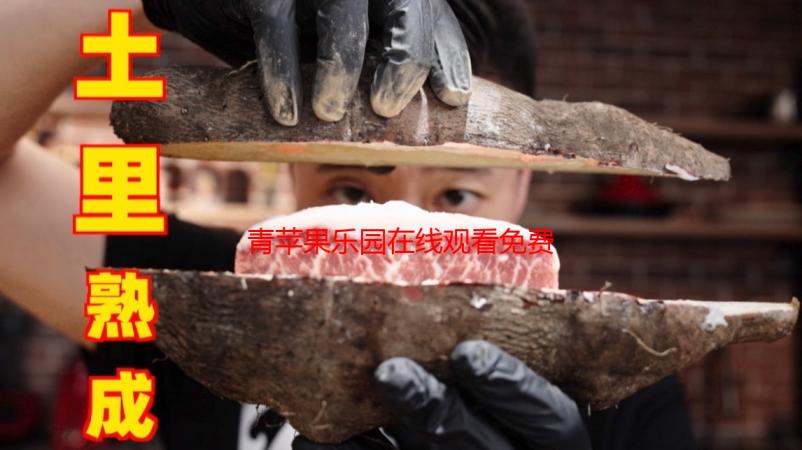 青苹果乐园在线观看免费：高清资源一网打尽，畅享视听盛宴