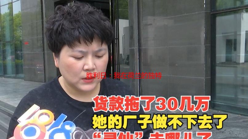 胜利日：我在荷兰的独特体验与文化碰撞