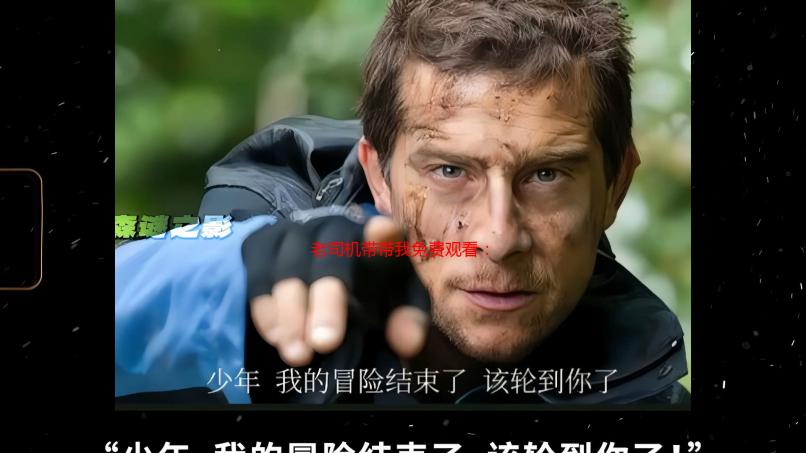 老司机带带我免费观看：深度解析免费观看资源的获取途径及风险提示