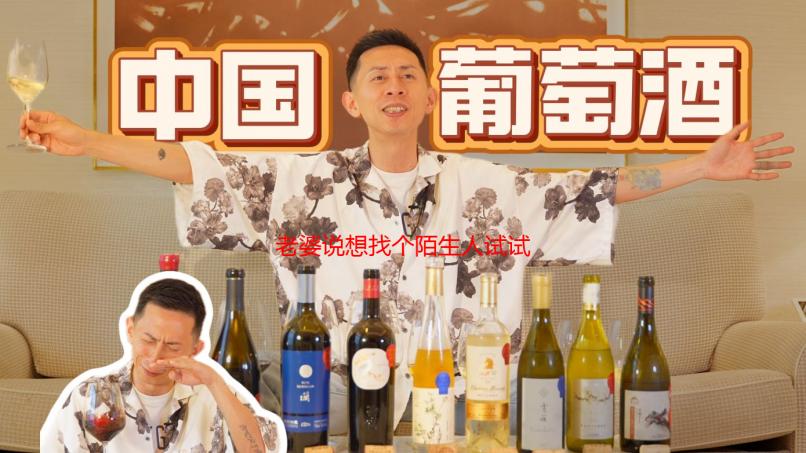 老婆说想找个陌生人试试复合：婚姻危机下的迷茫与自救之路