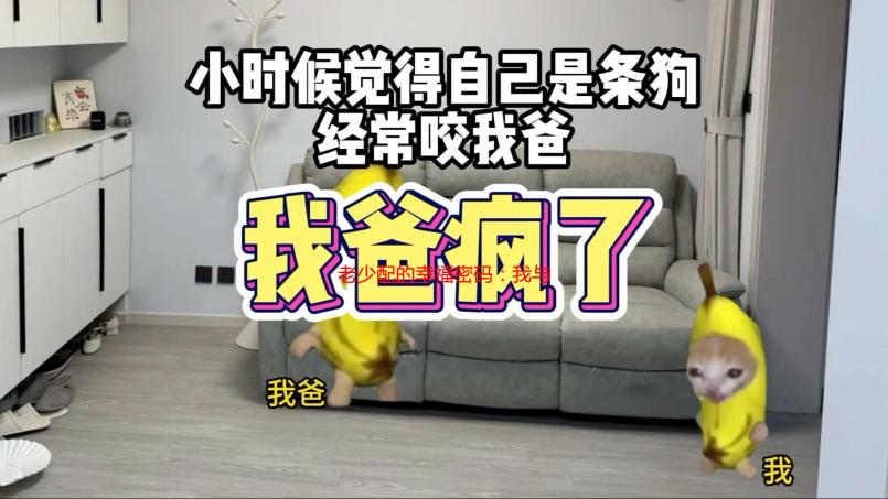 老少配的幸福密码：我与“小鲜肉”老公的甜蜜生活